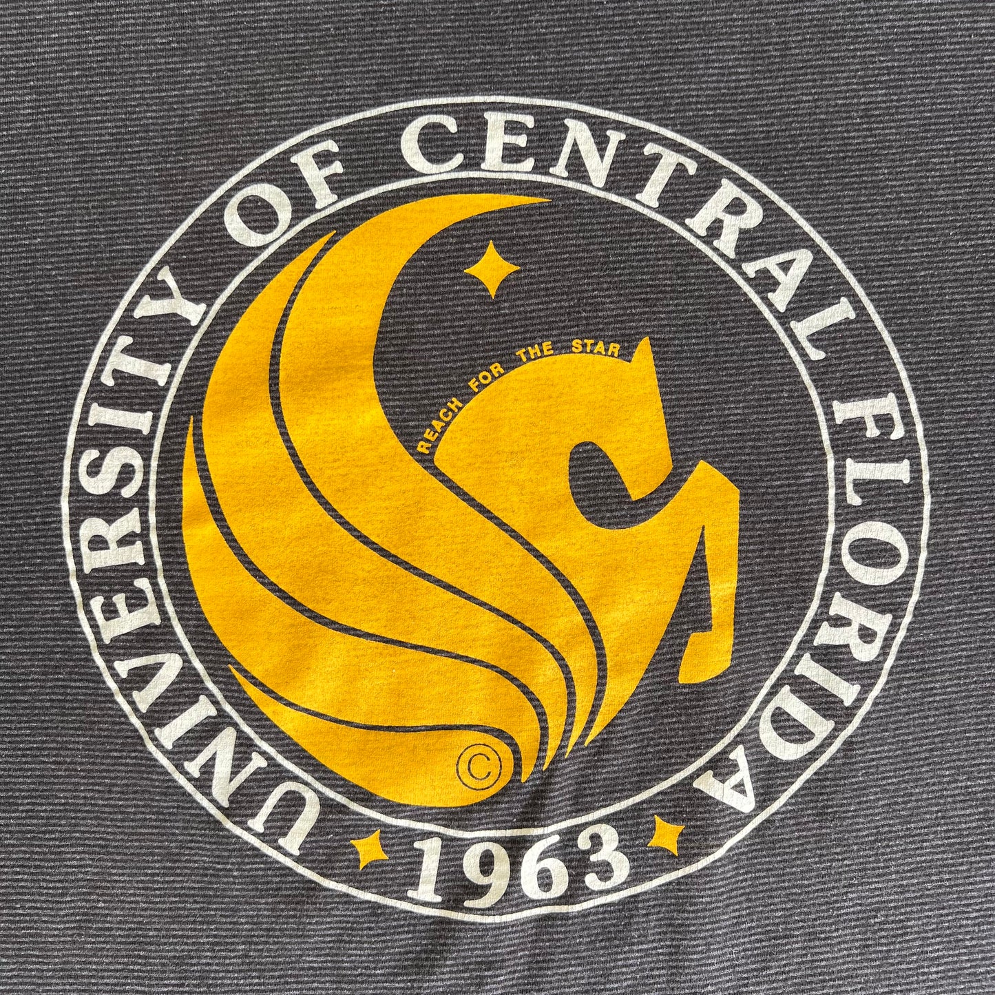 90s University of Cental Florida UCF Knights Black Gray Striped T-Shirt - XL