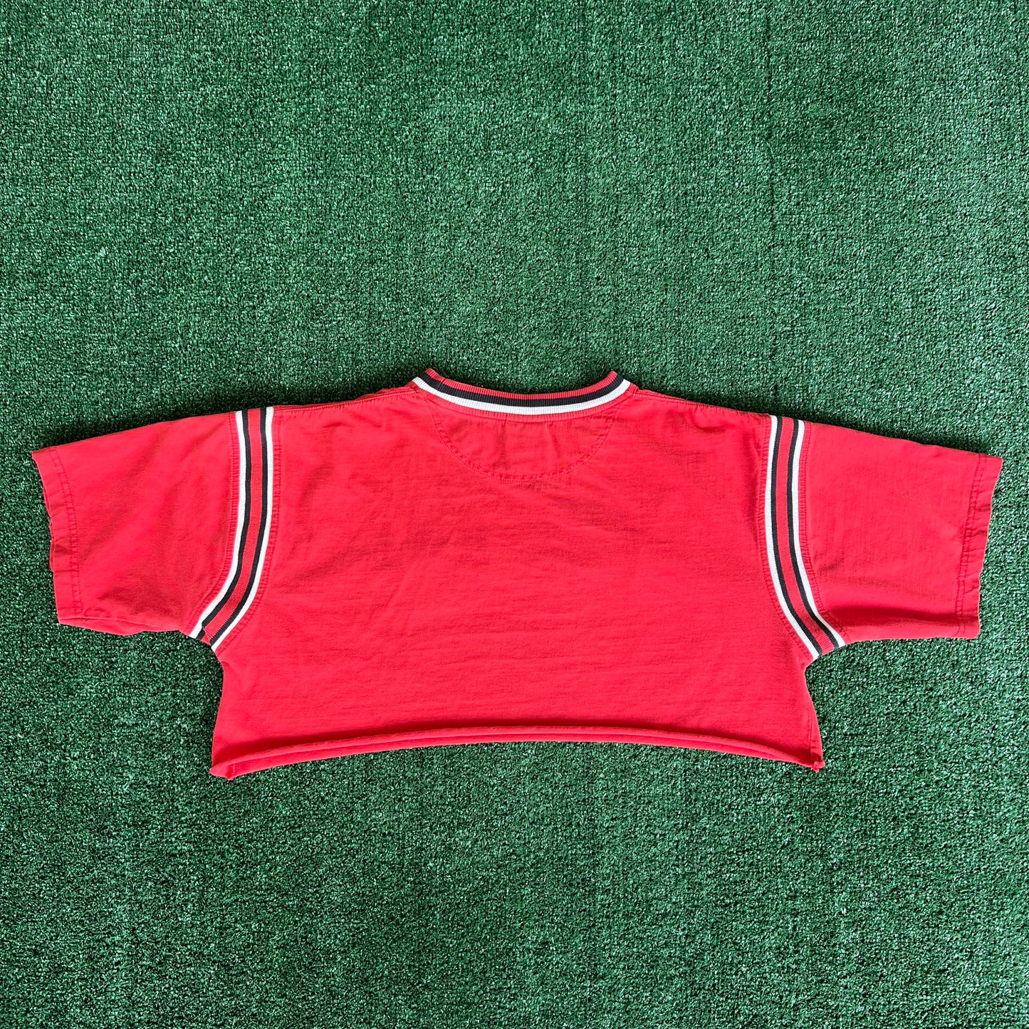 Women's Y2K Wisconsin Badgers Cropped Red T-Shirt - XL