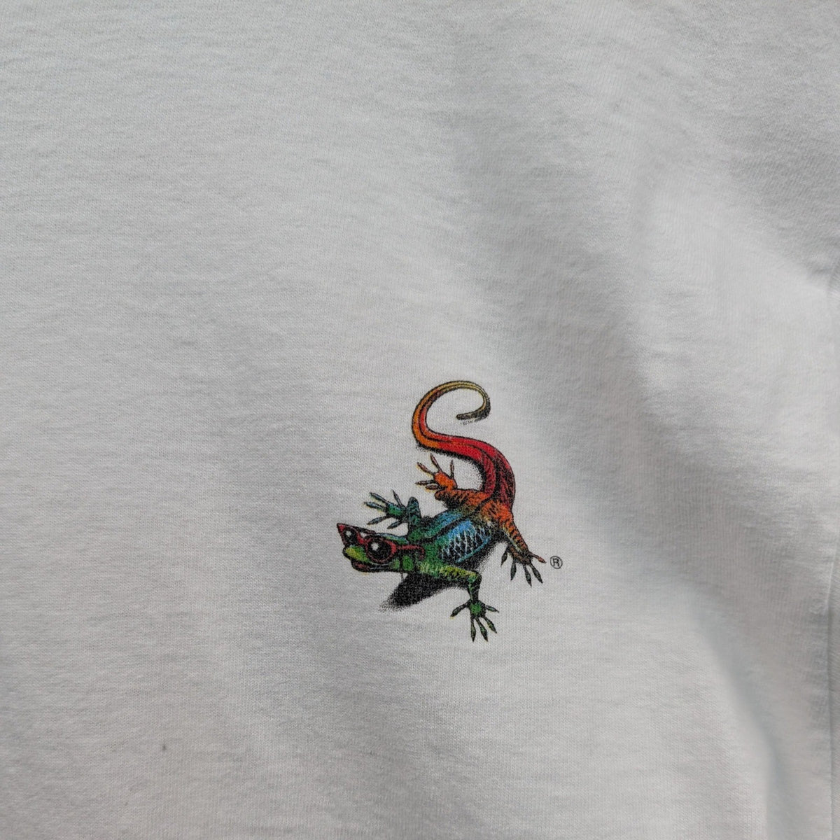 Image #7