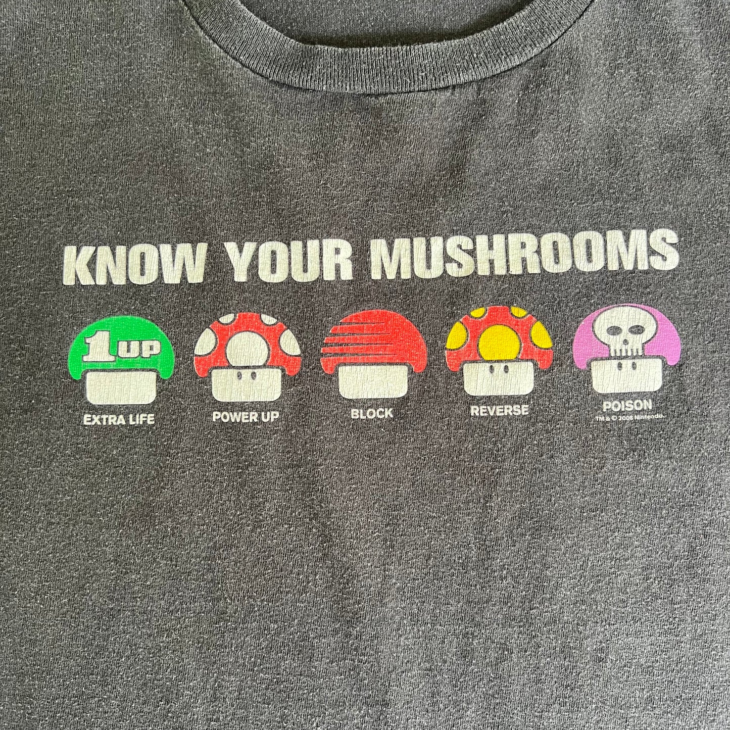 2008 Nintendo Super Mario Bros. Gaming Promo "Know Your Mushrooms" Faded Black T-Shirt - Large