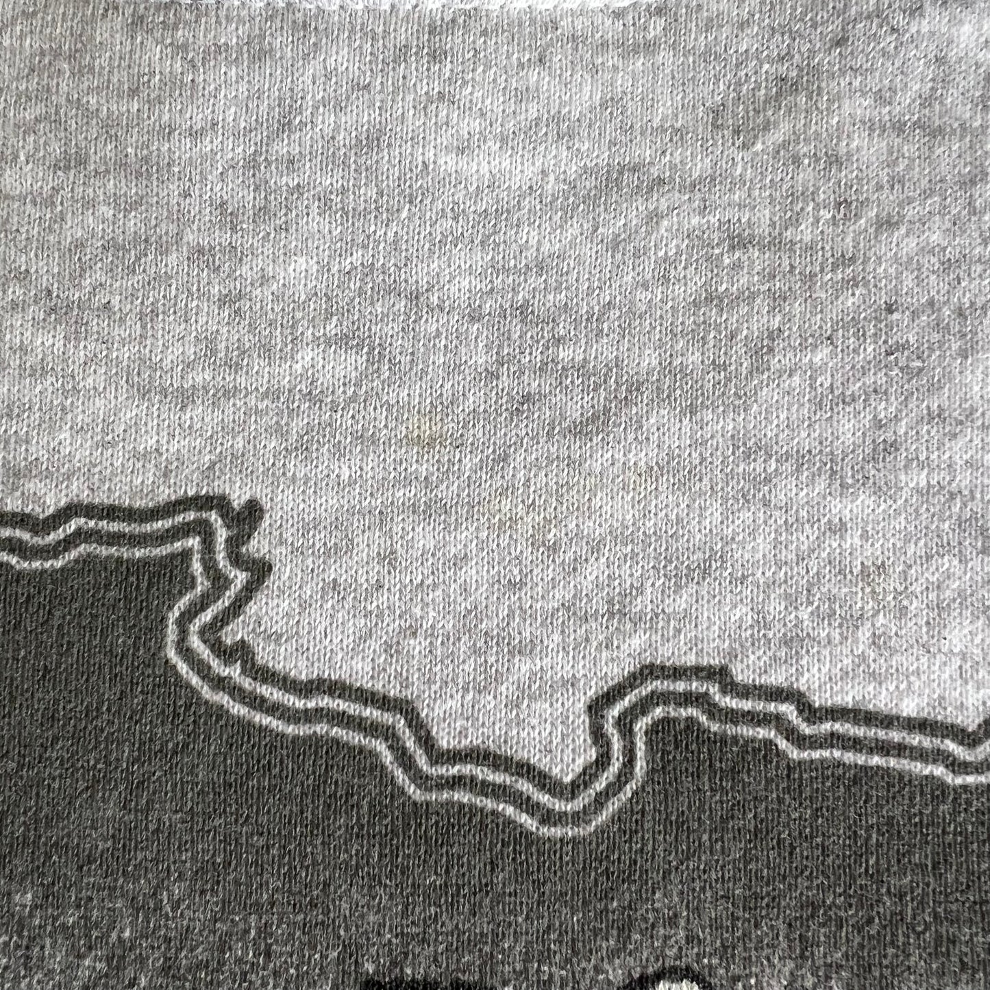 90s Busch Gardens Extinction is Forever Nature Animals Gray Sweatshirt - 2XL