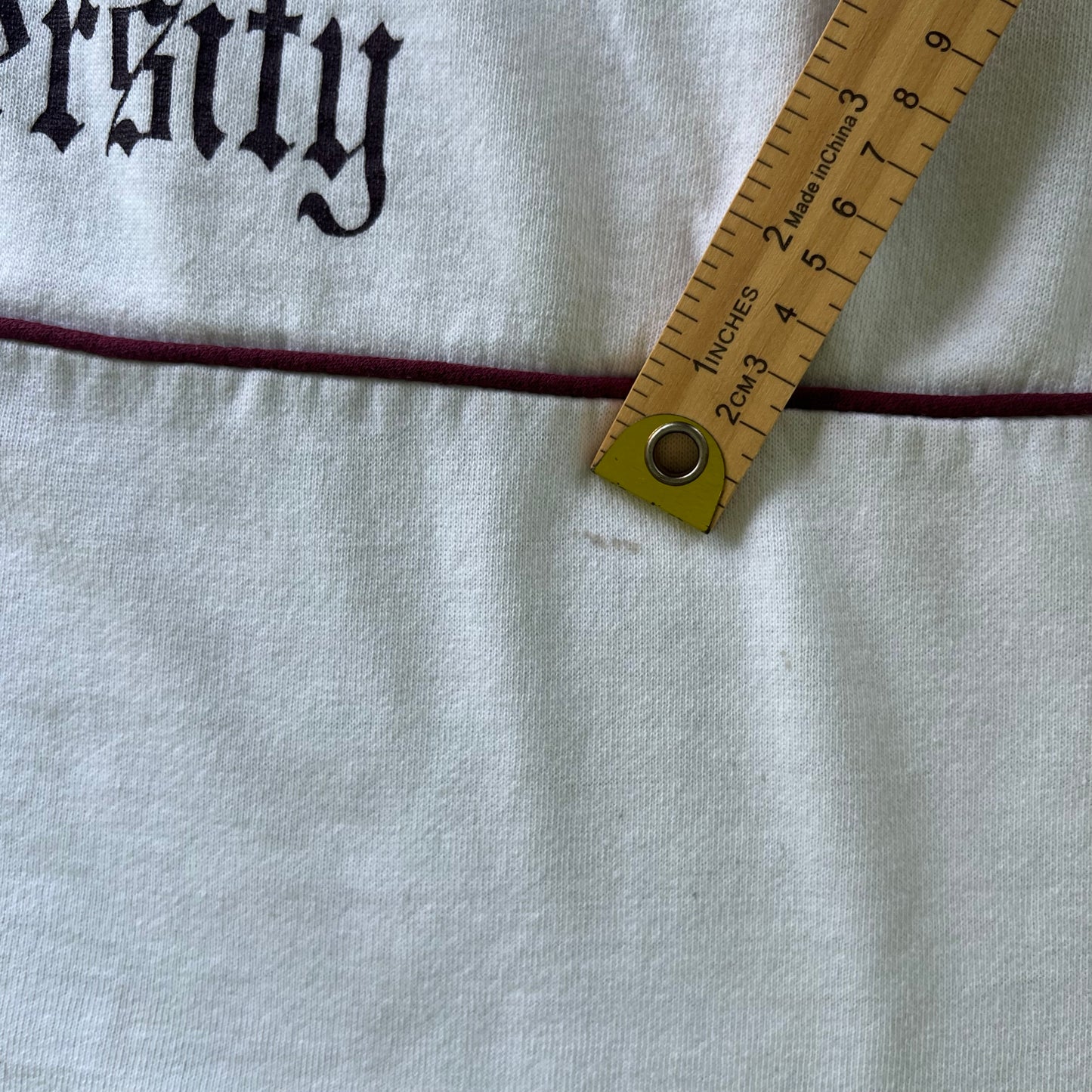70s Southern Illinois University Salukis White Burgundy Stripe Sweatshirt - Large