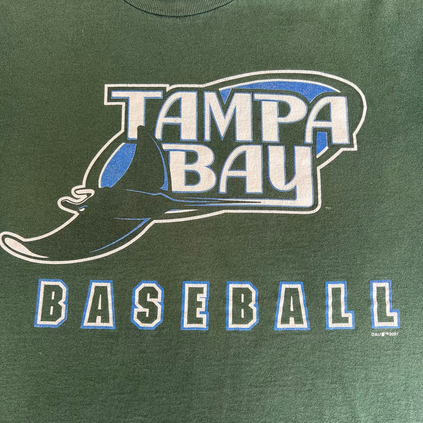 Y2K MLB Tampa Bay Devil Rays Faded Dark Green T-Shirt - 2XL