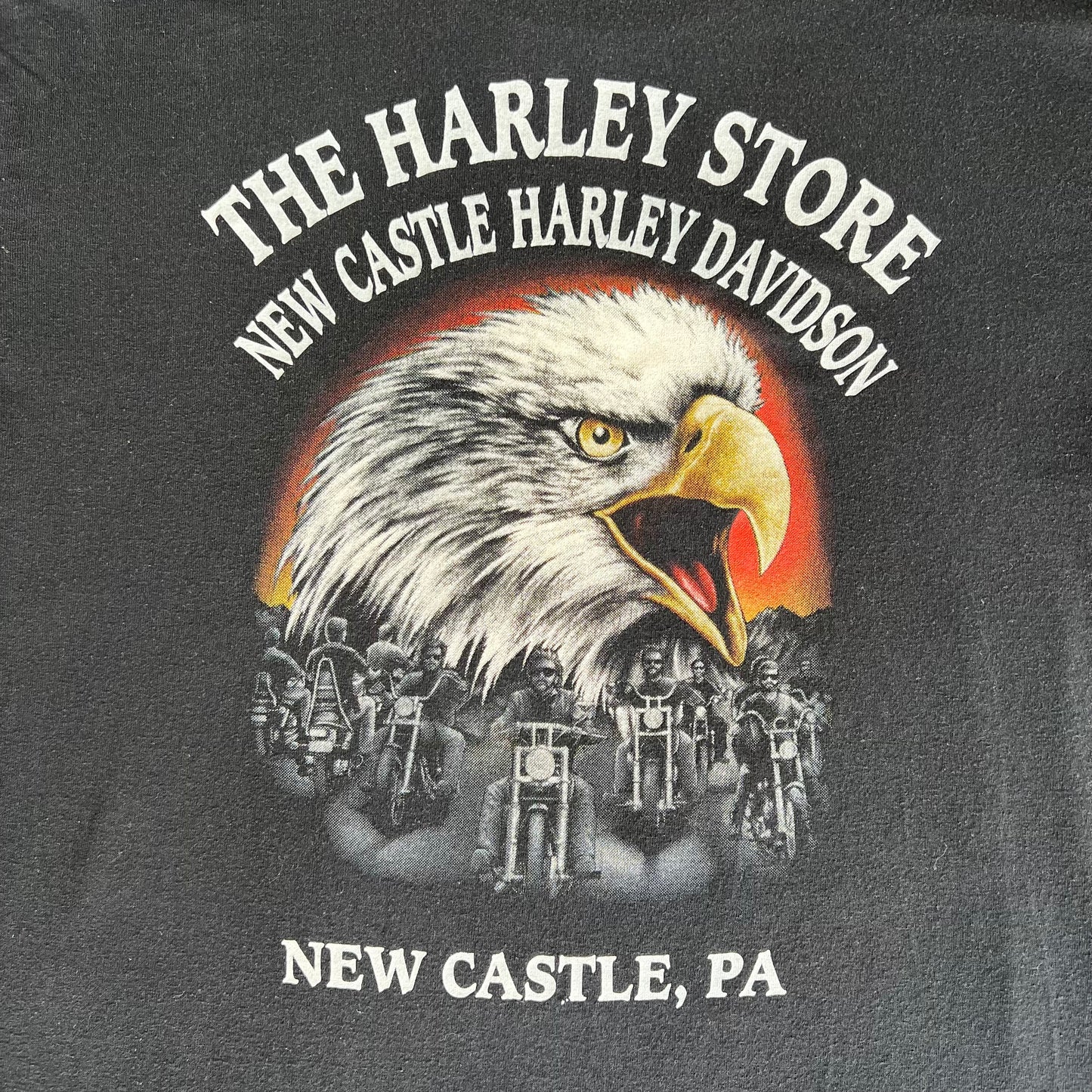 1992 3D Emblem Harley-Davidson Motorcycles American Biker Native American Skull Black T-Shirt - Large