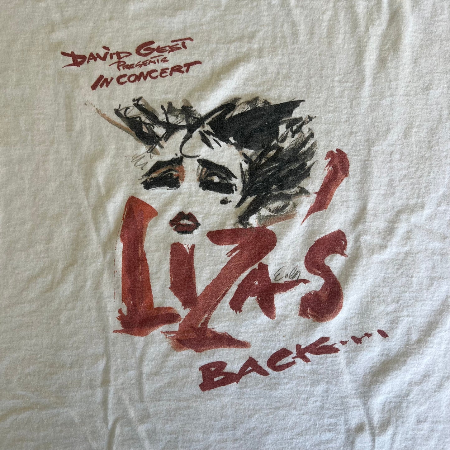Y2K Liza Minneli Liza's Back In Concert Pop Music White T-Shirt XL