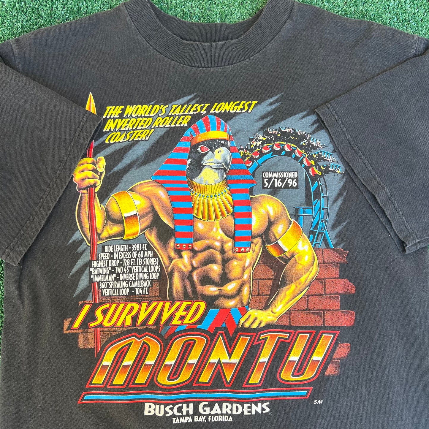 VTG 90s Mens Busch Gardens Rollercoaster "I Survived Montu" Black T-Shirt Medium